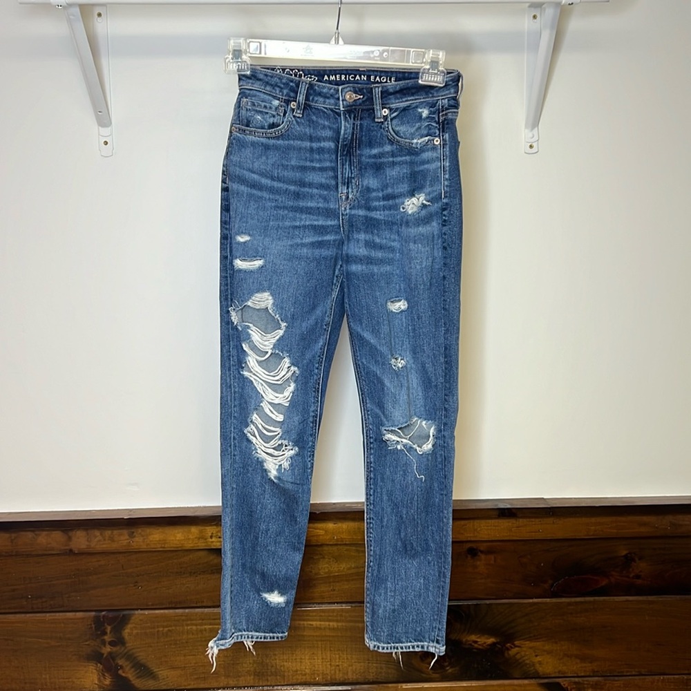 AEO Distressed Floral‎ Embroidered Mom Jeans- 2